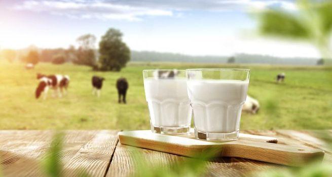 Could a2 Milk's Latest China Approval Unlock New Growth Opportunities?