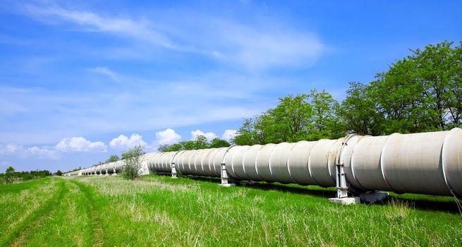 Contact Energy (NZX:CEN) Focuses on Expanding Green and Forestry Holdings Despite Cash Flow Pressure