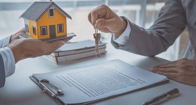 How Property Market Woes Hammered CDI's (NZX:CDI) FY25 Performance?