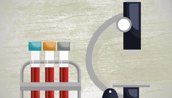 Ryman Healthcare (NZX:RYM) Shares Gain 3% After Q2 FY26 ORA Sales Show Steady Growth