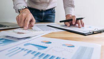 Is This New Zealand Stock Becoming a Market Favourite?