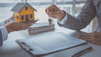 How Property Market Woes Hammered CDI's (NZX:CDI) FY25 Performance?