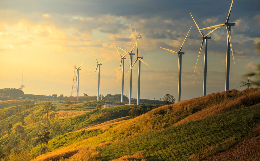 Fundamental Insights on One Energy Stock - MEL