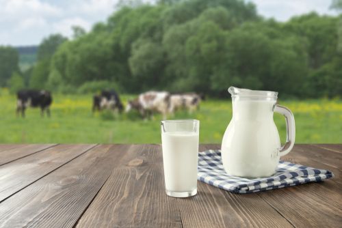 Is it Prudent to Book Profit on this Dairy Stock - ATM