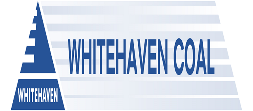 Two ASX stocks that roared up - Whitehaven Coal Ltd and Blackmores Ltd