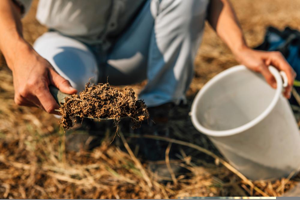How Is This Agribusiness Stock Performing - SCL
