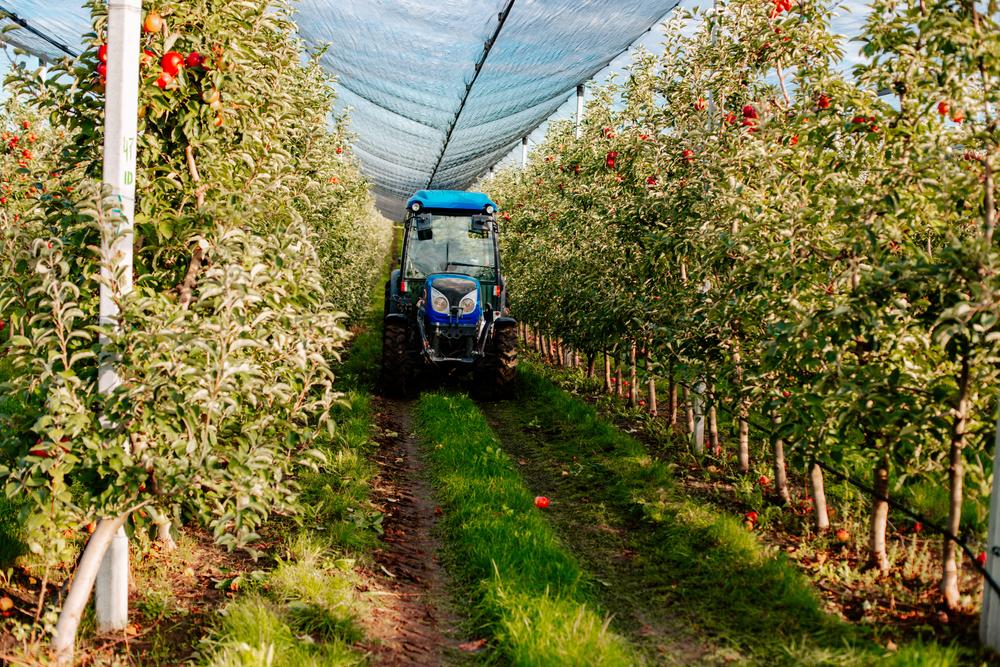 One Agribusiness Stock Well-placed for Improved Momentum - SCL