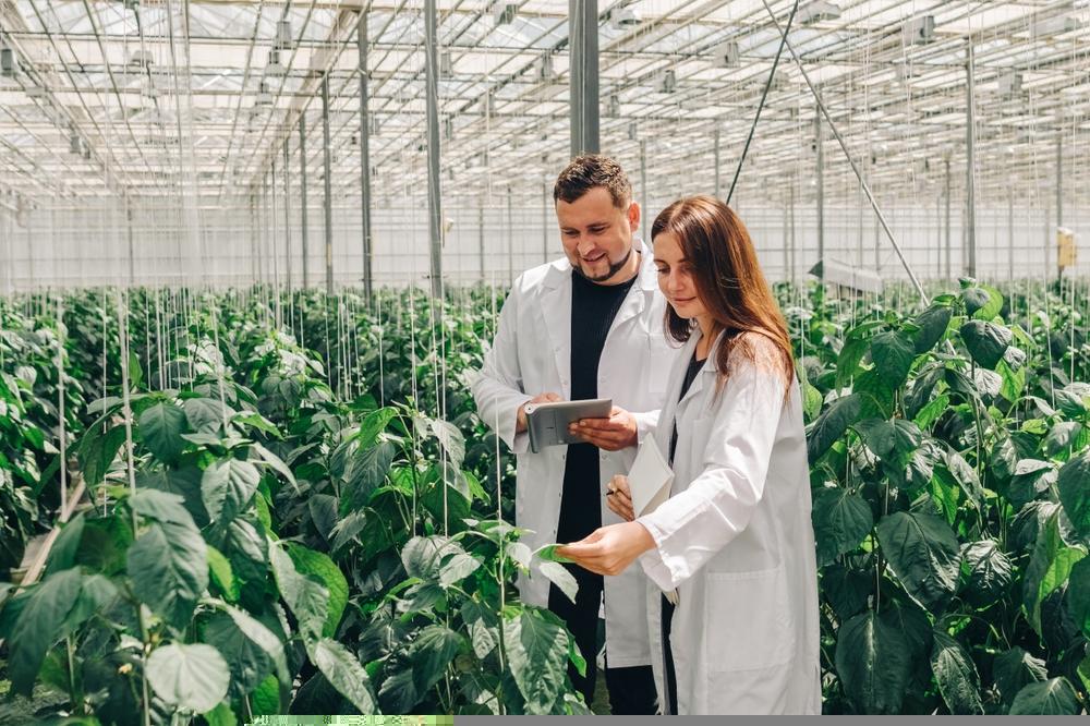 Is This Agricultural Stock Worth Considering – FMC